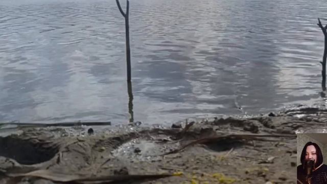 Надиного мужа стало раздражать все, а больше всего – с