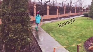 Хоббихорсинг