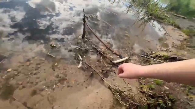 СОСЕДСКИЕ ШАШЛЫКИ (ЧАСТЬ 1) #follentass #muhanjan #svinsquad