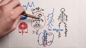 Электромагнитное поле человека