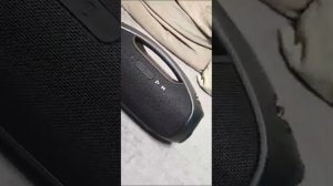 Колонка портативная Fiero FR600