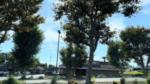 Пускай работает железная пила! Не для работы меня мама