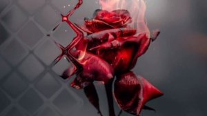 Мехом аз ту бигзарам Mohsen Chavoshi~bexom az tu begzaram