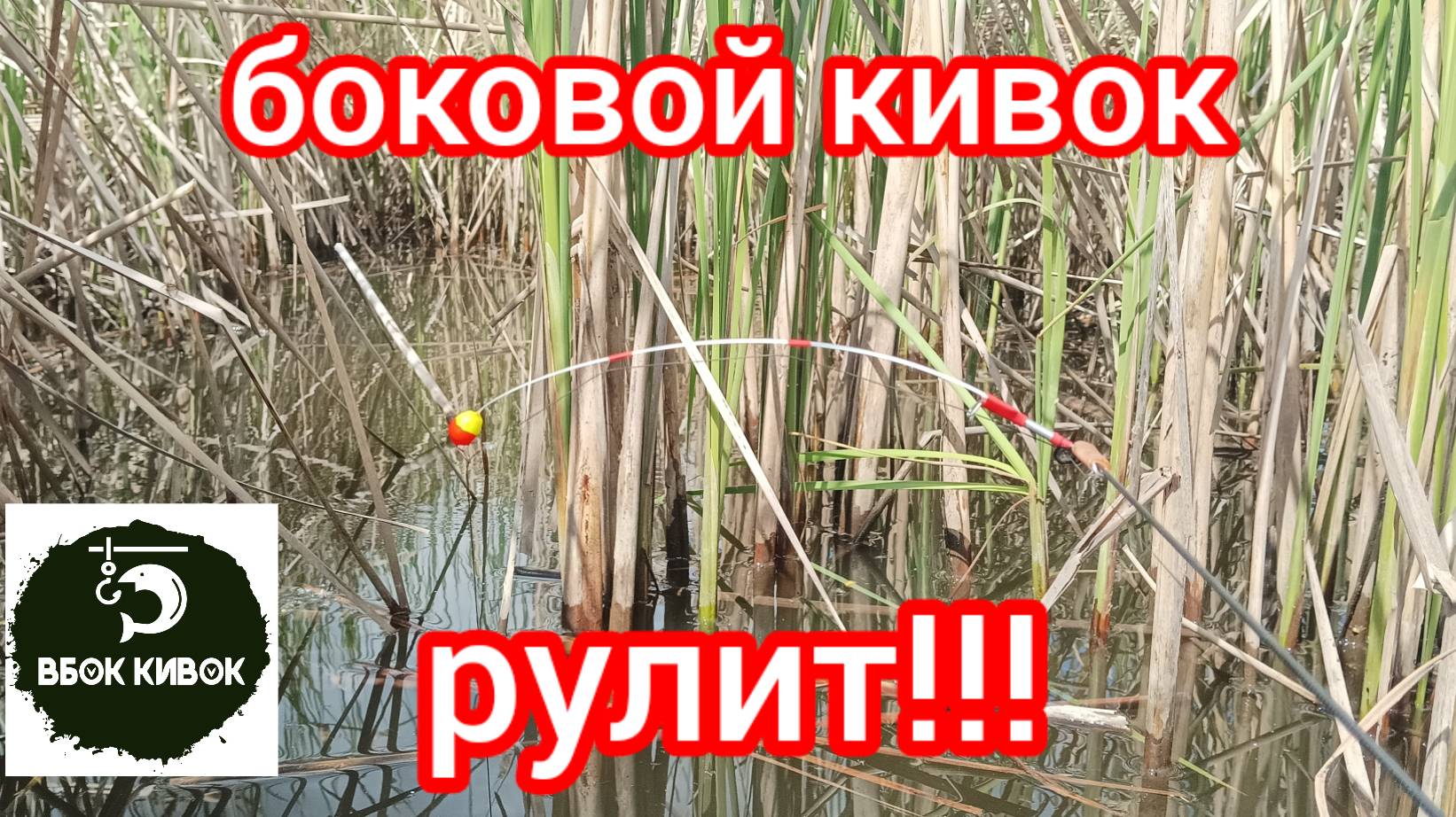 НАДУБАСИЛ КАРПОВ В КАМЫШАХ НА БОКОВОЙ КИВОК смотреть онлайн