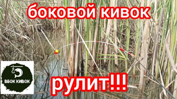 НАДУБАСИЛ КАРПОВ В КАМЫШАХ НА БОКОВОЙ КИВОК