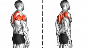 10 эффективных Упражнений для Улучшения Осанки