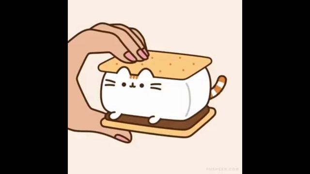 Pushin cat смотреть онлайн