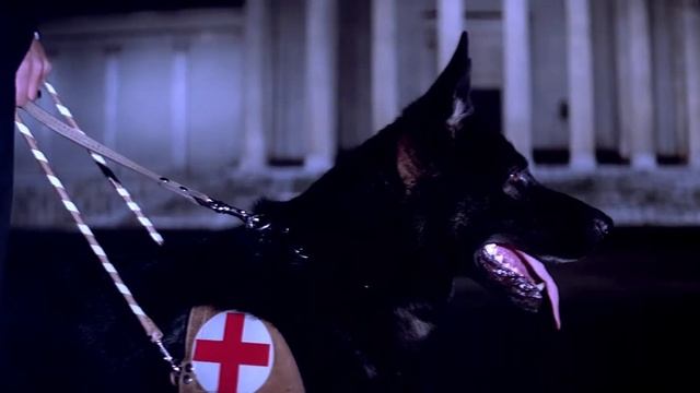 Ночной кошмар. Суспирия(Suspiria)1977 смотреть онлайн