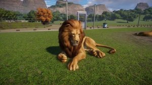 Почему не запускается Planet Zoo решение