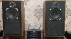 10ГДШ-2-4 + 3ГДВ-1-8 в корпусе Sony SS-37   мурашки по коже обеспе