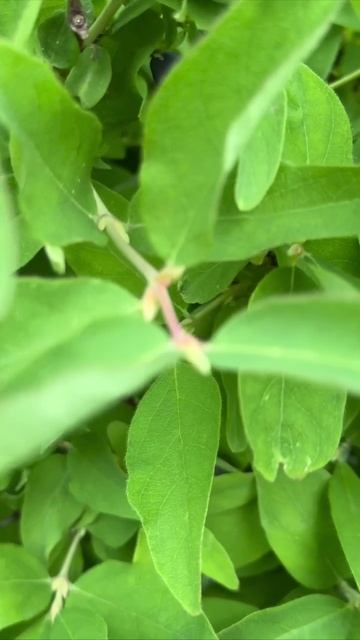 1011308127.mp4 смотреть онлайн