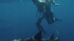 ВЛАД А4 ПЛАВАЕТ С АКУЛАМИ В БАССЕЙНЕ СО СВОЕЙ ДЕВУШКОЙ А4!   Фанат А4