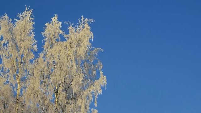 Апостол, Евангелие и Святые дня. Седмица 2-я по Пасхе. Р?