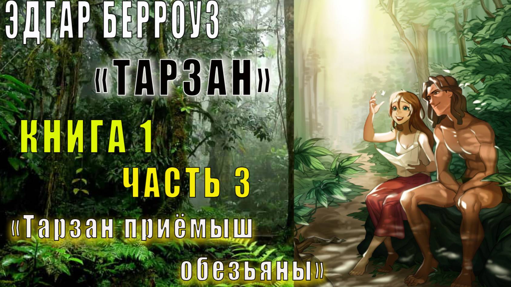 Эдгар Райз Берроуз "Тарзан" (книга 1) "Тарзан приёмыш обезьяны" (часть 3)