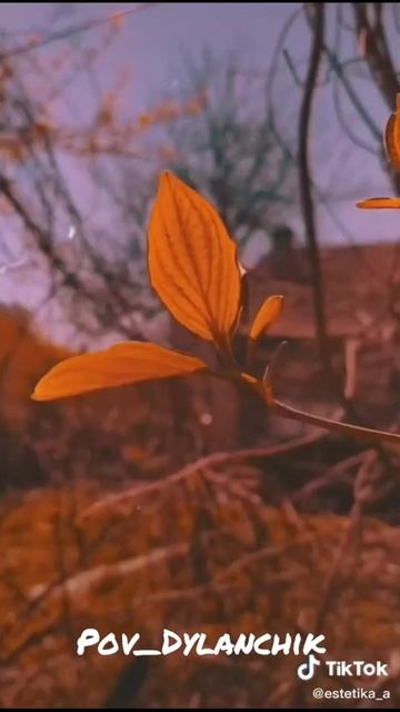 Моя, милая🌷❤️/Трейлер к Pov