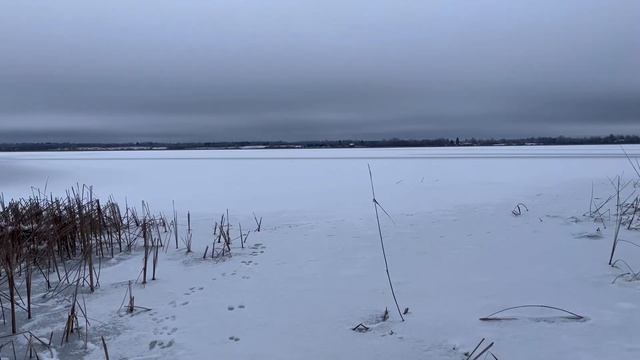 Прогулка по заиндевевшему лесу возле озера Воротно. Д? смотреть онлайн