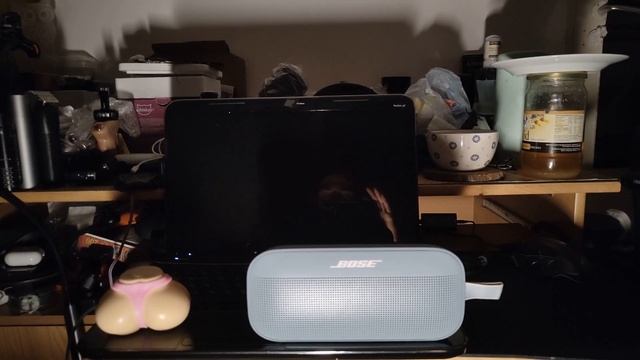 Bose SoundLink Flex Царь Царей Портативка С НЕ Портативным Зву? смотреть онлайн
