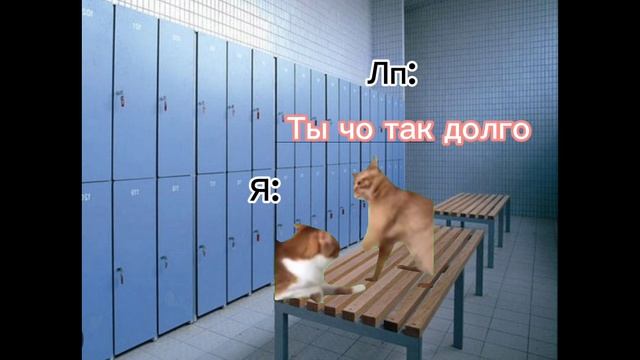 Пов иду на тренировку смотреть онлайн