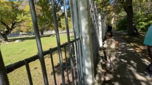 Теберда. Стоит ли ехать?