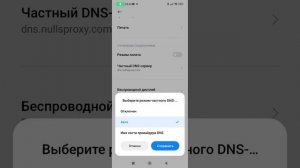 Как делать днс сервер на айфонах и как убрать ошибку.