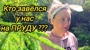 КТО ЗАВЕЛСЯ У НАС НА ПРУДУ | ДЕРЕВЕНСКИЕ БУДНИ | Дом в деревне | Семья в селе