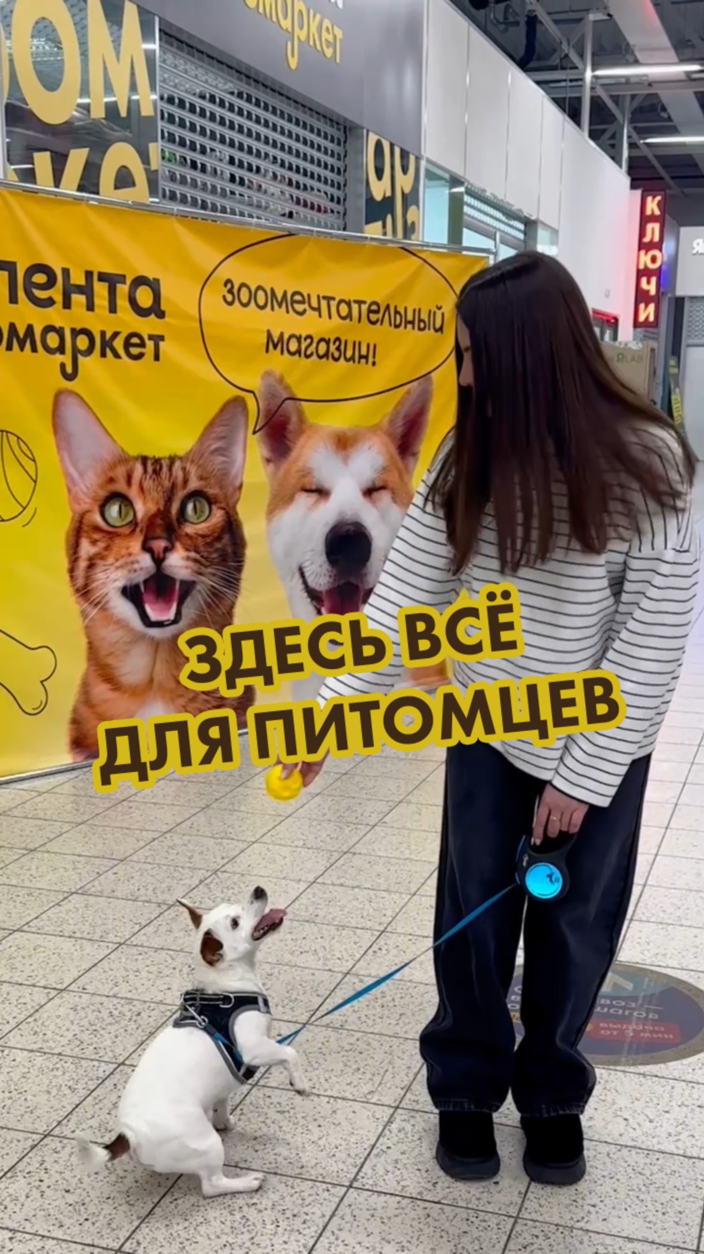 А вы уже выгуляли питомца в «Ленту Зоомаркет»? 🦮 смотреть онлайн