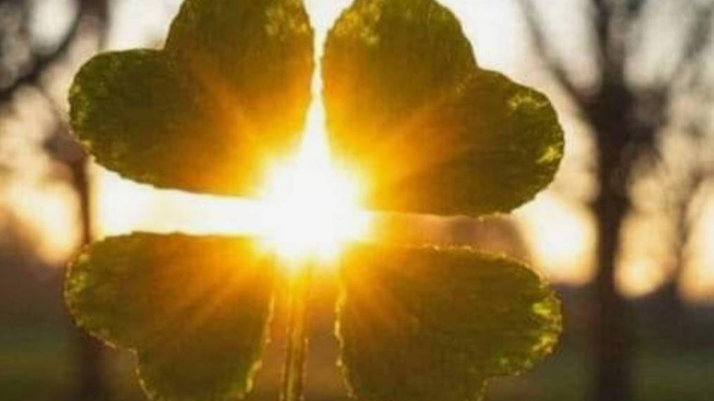 сюрприз смотреть онлайн