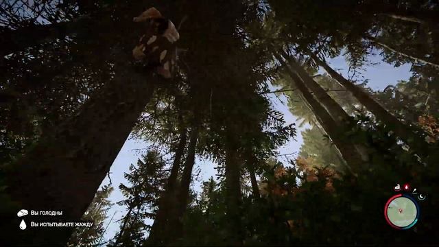 Где найти лопату в Sons Of The Forest  #sonsoftheforest #korpatych