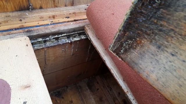 Бджоли зимують. Мій номер тел 096 08 30 128 Юрій.