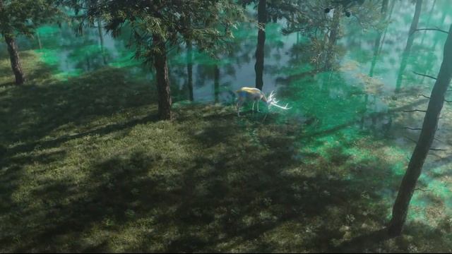 Телевизор Skyworth SXF9850