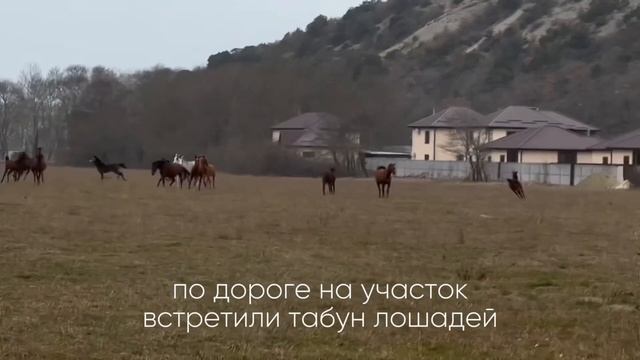 ПОСТРОИЛИ ДОМ МЕЧТЫ В ГОРАХ ЗА 3.000.000р / ЭТАПЫ СТРОИТЕЛЬ