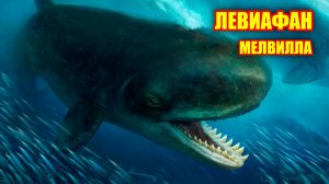 Левиафан Мелвилла. Чудовищный древний кит. Интересные факты