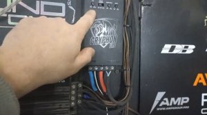 Обзор и прослушка DL Audio Gryphon Lite 1.500