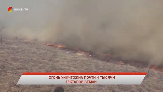 2019-03-19 | 15:00 Новости на ORHEI TV смотреть онлайн