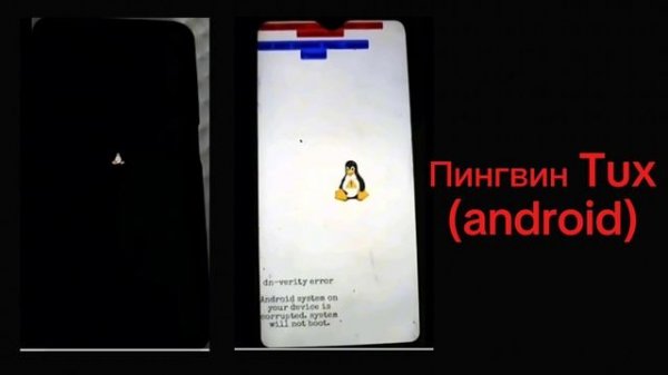 ОШИБКИ НА LINUX | Часть 1