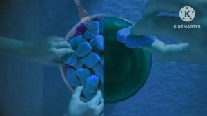 Наггетсы Сливушки Вязанка - сочность хруст и улыбки Effe