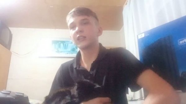 обзор на пс 4 про