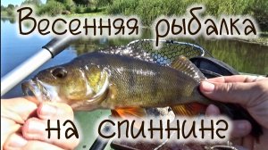 рыбалка на дикой речке в Псковской области