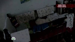 Говорим и показываем «Вдова увела чужого мужа»