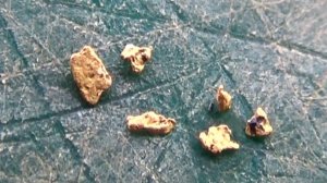 Мою самородное Золото в роднике!