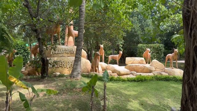 Вьетнам. Остров Фукуок, южная часть🐟