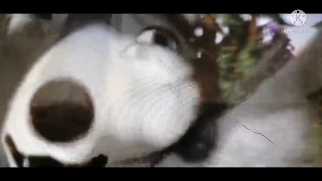 Видео Альфа И омега клыкастая братва смотреть онлайн