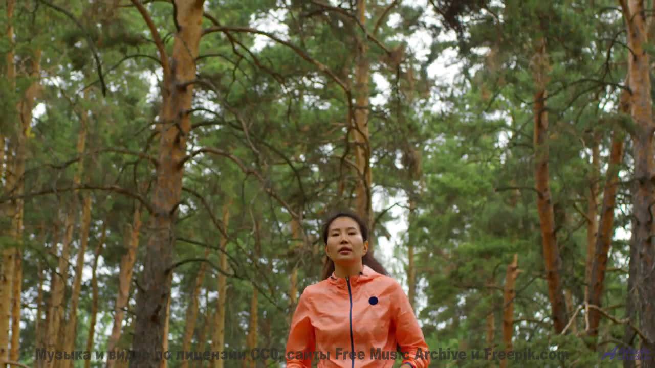 Кадры природы, которые вдохновят на подвиги - смотрите! - Montevideo -- Duncan Reid And The Big Head