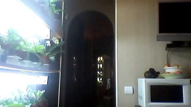 Видео с веб-камеры. Дата: 13 октября 2013 г., 10:26. смотреть онлайн