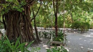 Мальдивы. пляжи на острове и отеле Reethi Faru Resort 4 в марте