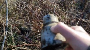 Поиск изоляторов Часть 2. Много тф АИЗ, рфо, опорные и р?