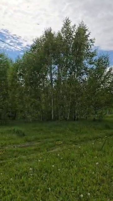 113814 смотреть онлайн