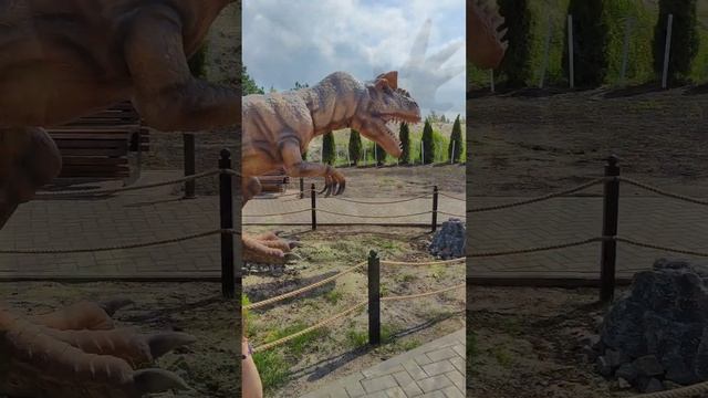 Динопарк  Калининградская область пос. Янтарный #Лето2