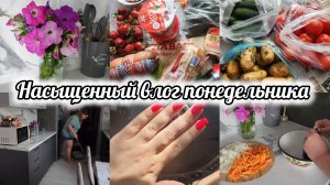 Влог☀️Кубанский обед👍Распаковка с помощником🛍 Домашние дела 🧹