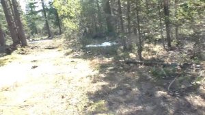 Охота на Больших медведей в Сибирской тайге. Хребет Ха